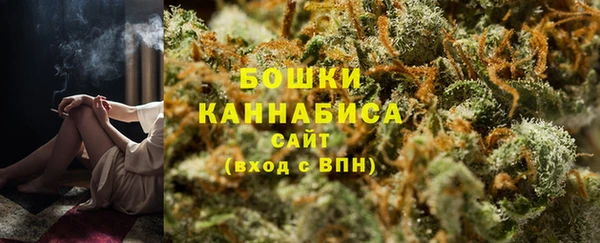 крисы Нея