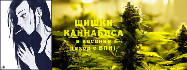 хмурый Богданович